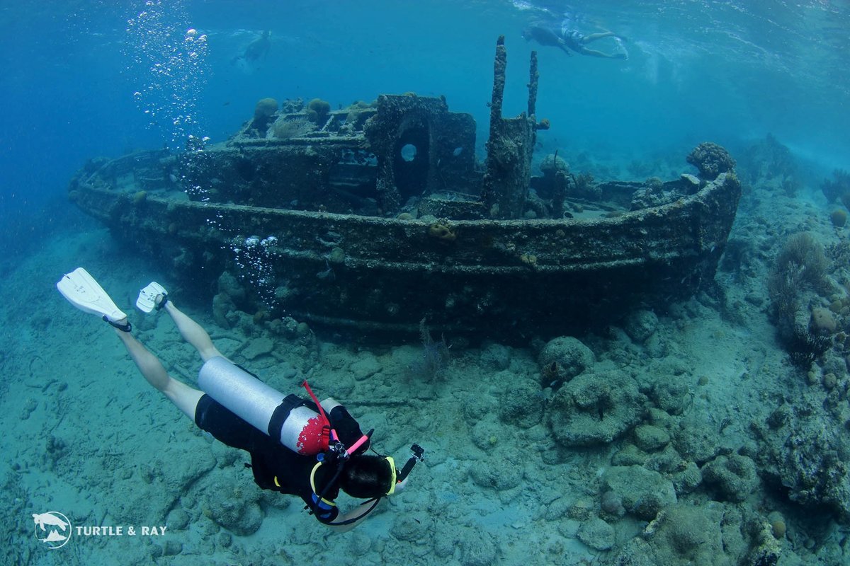 Elle scuba diving below the surface